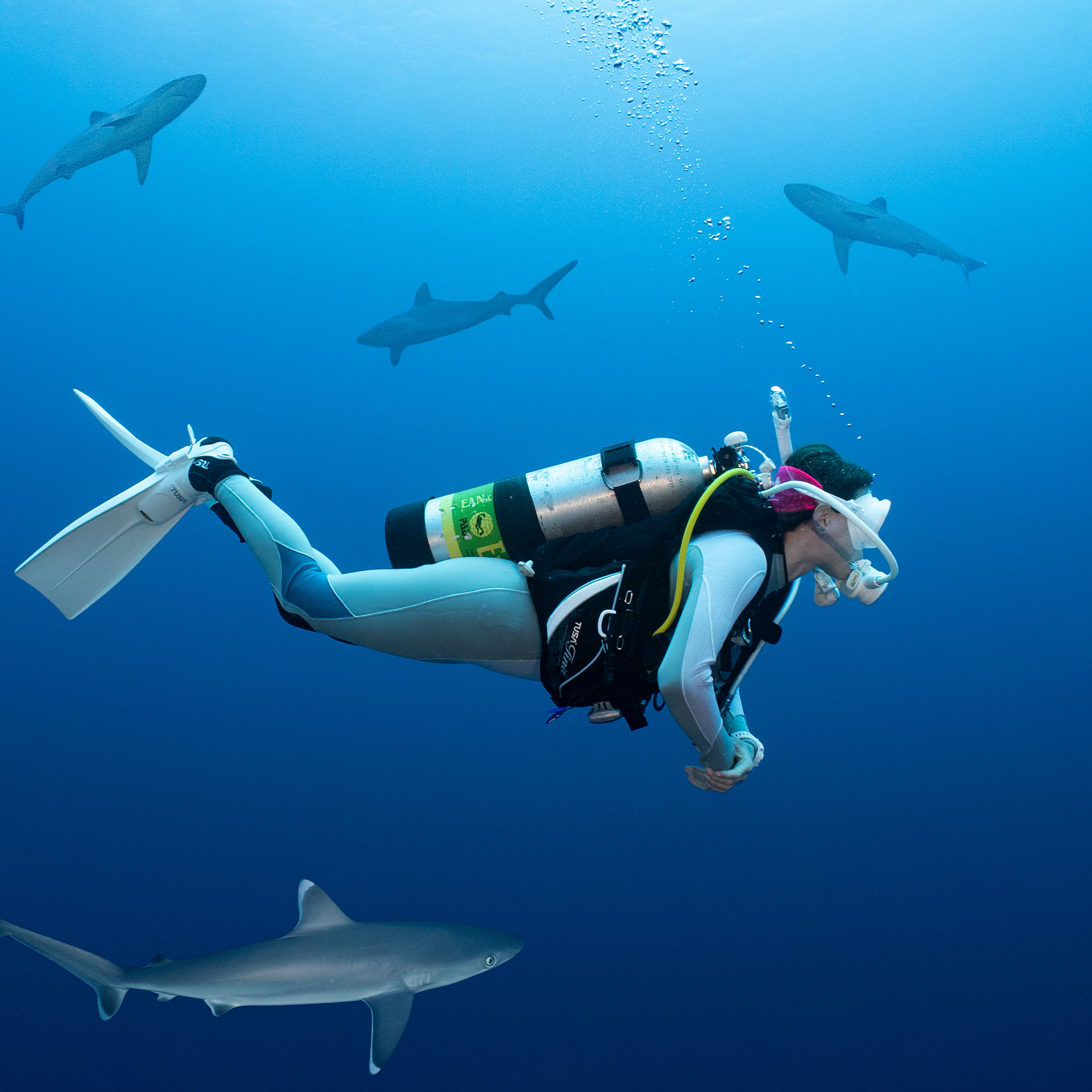 TUSA Tina BCD - Imagen 7