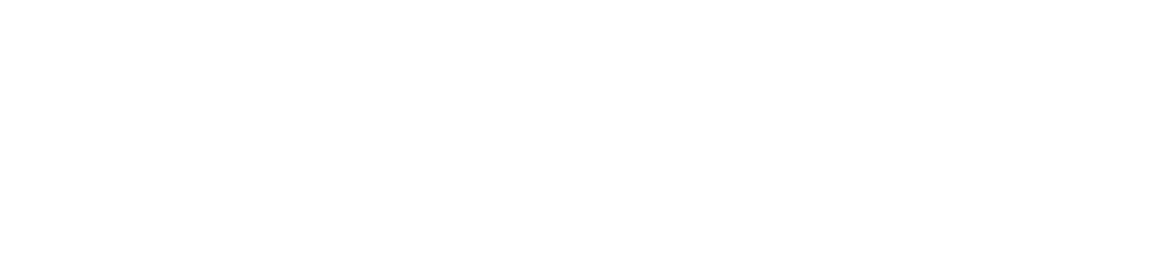 Reef Tourer